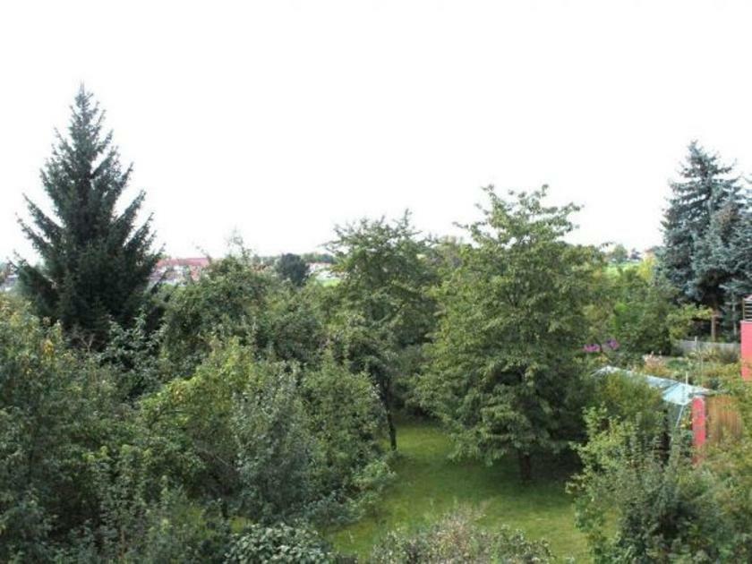Exklusive Ferienwohnung An Der Elbe Dresden Dış mekan fotoğraf